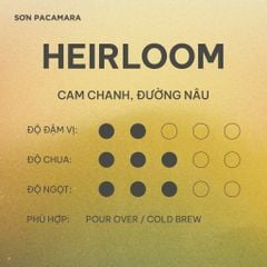 (Tiết kiệm 90K) Combo 1KG Heirloom Gói 250gr/500gr - Phù Hợp Pha Pour Over / Cold Brew