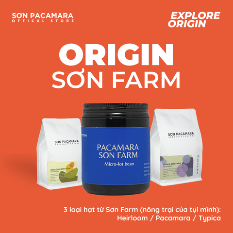 Combo Khám Phá Vùng Sơn Farm Với 3 Gói Cà Phê, Phù hợp Nhiều Cách Pha Khác Nhau, Gói 250gr