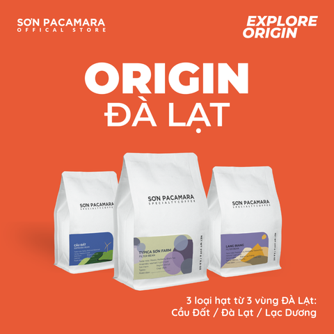 Combo Khám Phá Vùng Đà Lạt Với 3 Gói Cà Phê, Phù hợp Nhiều Cách Pha Khác Nhau, Gói 250gr