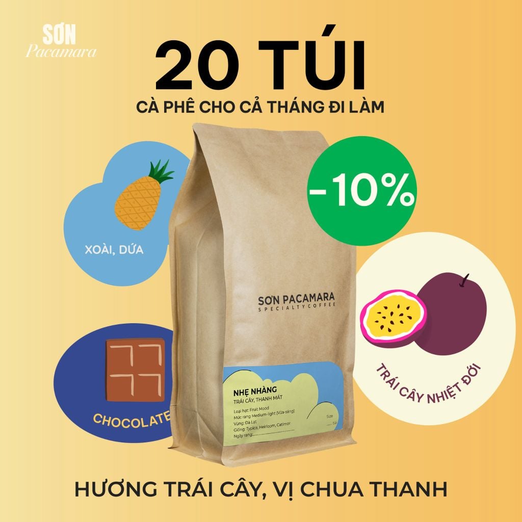 Cà Phê Cold Brew Túi Lọc Sơn Pacamara, Hương Vị Nhẹ Nhàng / Cân Bằng / Đậm Đà, Size 3 Túi / 7 Túi