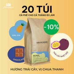 Cà Phê Cold Brew Túi Lọc Sơn Pacamara, Hương Vị Nhẹ Nhàng / Cân Bằng / Đậm Đà, Size 3 Túi / 7 Túi