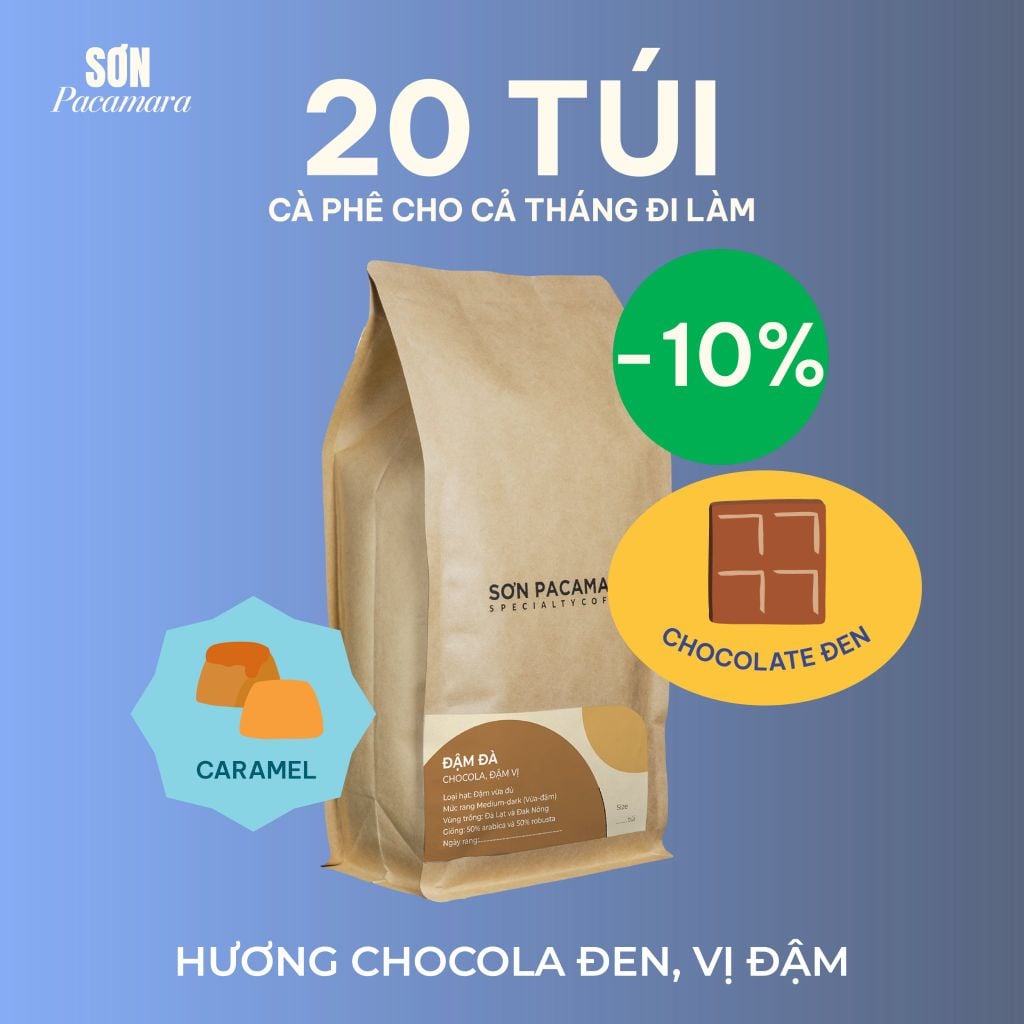 Cà Phê Cold Brew Túi Lọc Sơn Pacamara, Hương Vị Nhẹ Nhàng / Cân Bằng / Đậm Đà, Size 3 Túi / 7 Túi