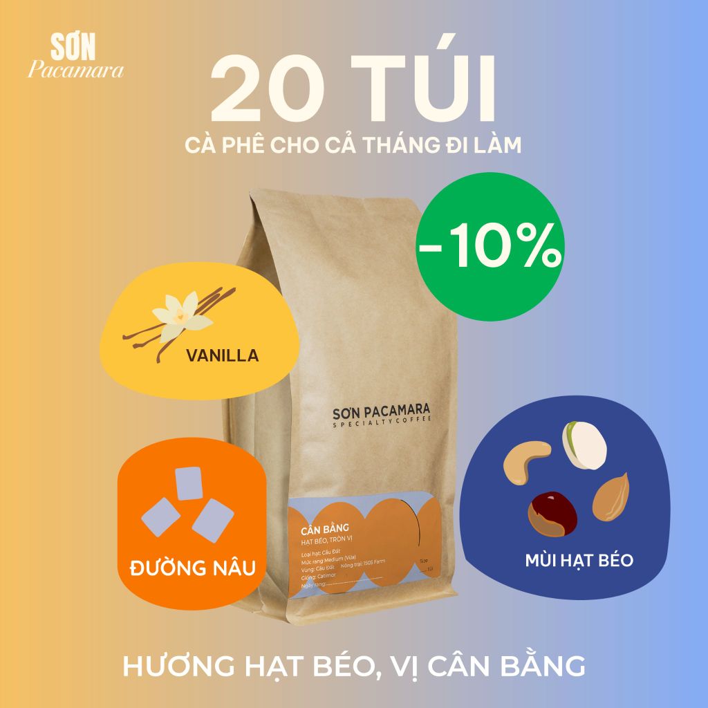Cà Phê Cold Brew Túi Lọc Sơn Pacamara, Hương Vị Nhẹ Nhàng / Cân Bằng / Đậm Đà, Size 3 Túi / 7 Túi