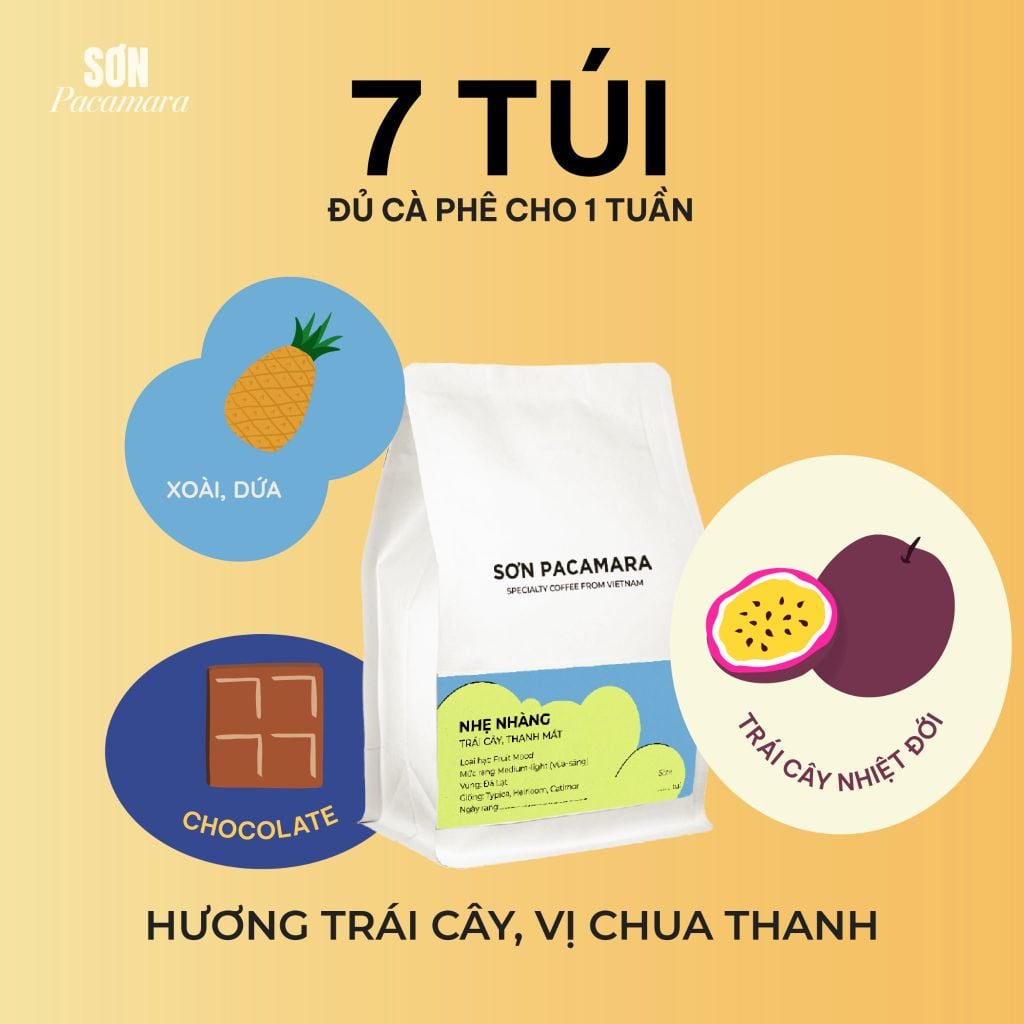 Cà Phê Cold Brew Túi Lọc Sơn Pacamara, Hương Vị Nhẹ Nhàng / Cân Bằng / Đậm Đà, Size 3 Túi / 7 Túi