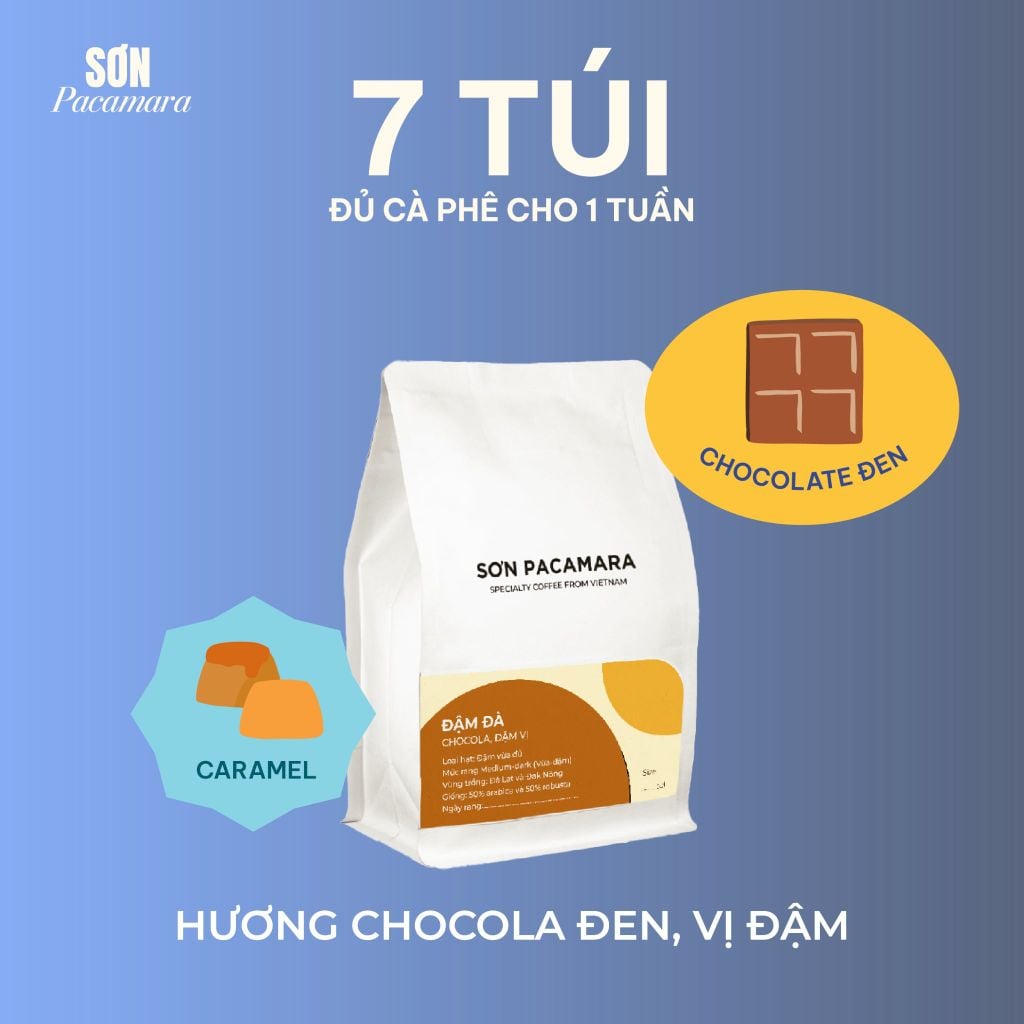 Cà Phê Cold Brew Túi Lọc Sơn Pacamara, Hương Vị Nhẹ Nhàng / Cân Bằng / Đậm Đà, Size 3 Túi / 7 Túi