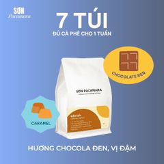Cà Phê Cold Brew Túi Lọc Sơn Pacamara, Hương Vị Nhẹ Nhàng / Cân Bằng / Đậm Đà, Size 3 Túi / 7 Túi