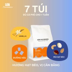 Cà Phê Cold Brew Túi Lọc Sơn Pacamara, Hương Vị Nhẹ Nhàng / Cân Bằng / Đậm Đà, Size 3 Túi / 7 Túi