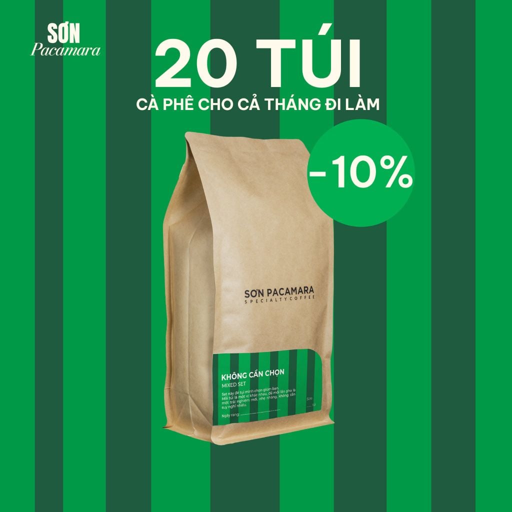 Cà Phê Cold Brew Túi Lọc Sơn Pacamara, Hương Vị Nhẹ Nhàng / Cân Bằng / Đậm Đà, Size 3 Túi / 7 Túi