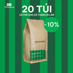 Cà Phê Cold Brew Túi Lọc Sơn Pacamara, Hương Vị Nhẹ Nhàng / Cân Bằng / Đậm Đà, Size 3 Túi / 7 Túi