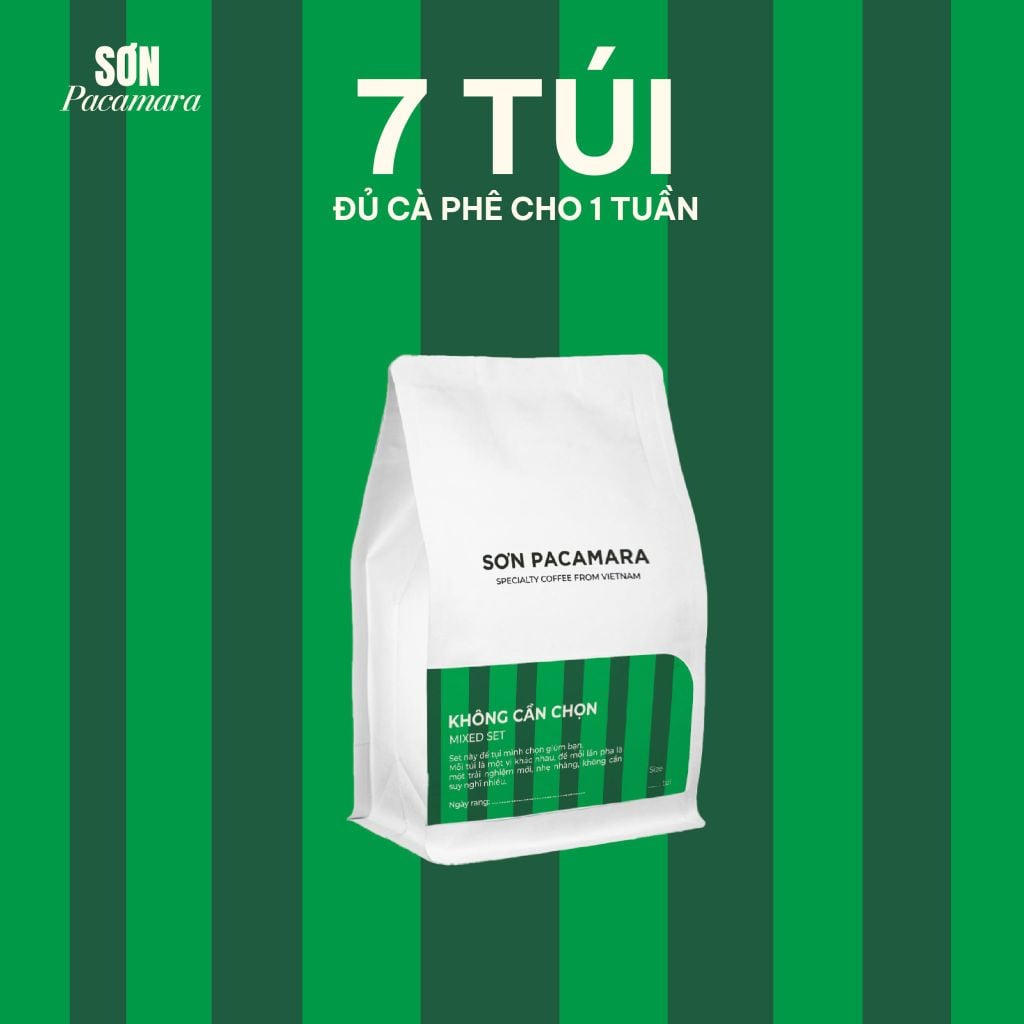Cà Phê Cold Brew Túi Lọc Sơn Pacamara, Hương Vị Nhẹ Nhàng / Cân Bằng / Đậm Đà, Size 3 Túi / 7 Túi