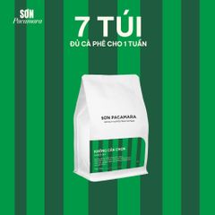 Cà Phê Cold Brew Túi Lọc Sơn Pacamara, Hương Vị Nhẹ Nhàng / Cân Bằng / Đậm Đà, Size 3 Túi / 7 Túi