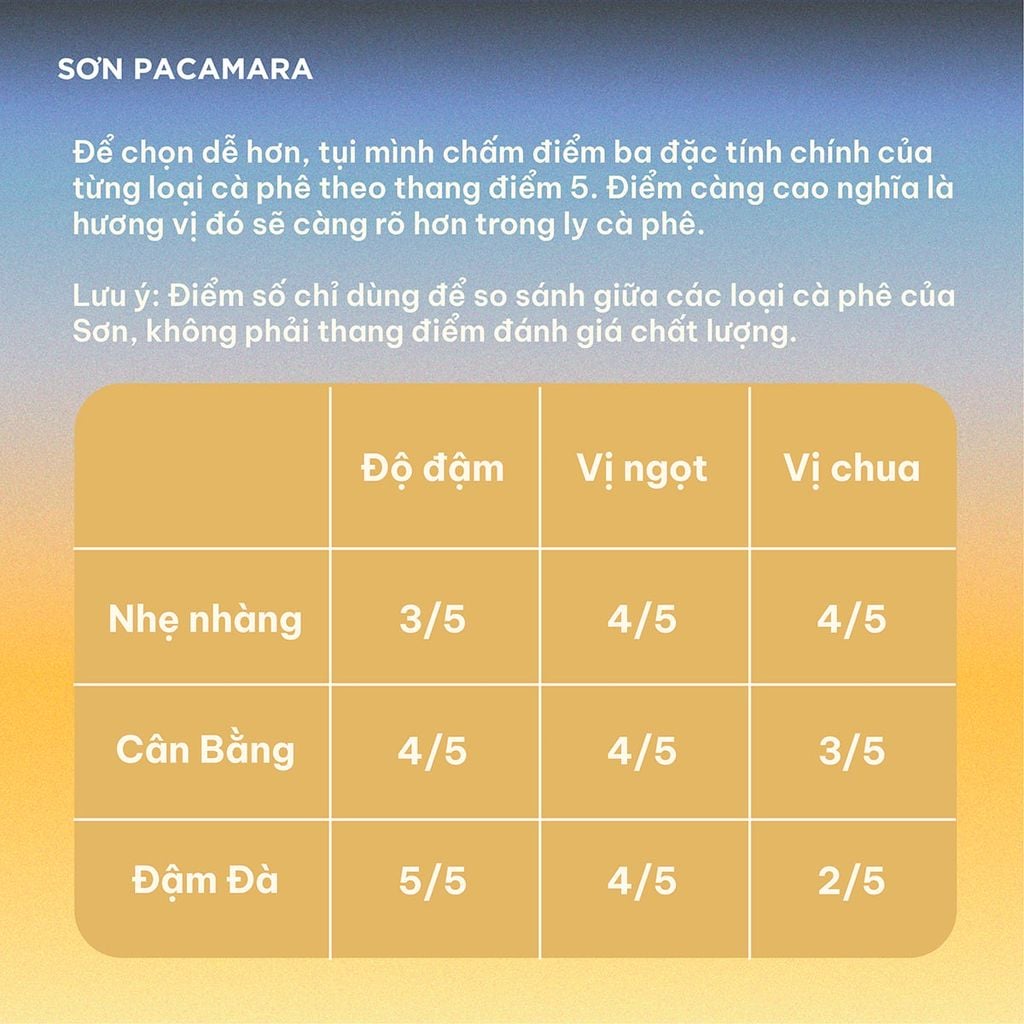 Cà Phê Cold Brew Túi Lọc Sơn Pacamara, Hương Vị Nhẹ Nhàng / Cân Bằng / Đậm Đà, Size 3 Túi / 7 Túi