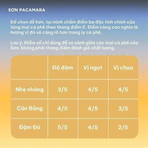 Cà Phê Cold Brew Túi Lọc Sơn Pacamara, Hương Vị Nhẹ Nhàng / Cân Bằng / Đậm Đà, Size 3 Túi / 7 Túi