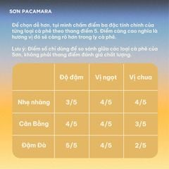 Cà Phê Cold Brew Túi Lọc Sơn Pacamara, Hương Vị Nhẹ Nhàng / Cân Bằng / Đậm Đà, Size 3 Túi / 7 Túi