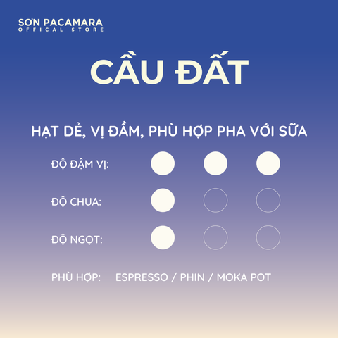 Combo Khám Phá Vùng Đà Lạt Với 3 Gói Cà Phê, Phù hợp Nhiều Cách Pha Khác Nhau, Gói 250gr