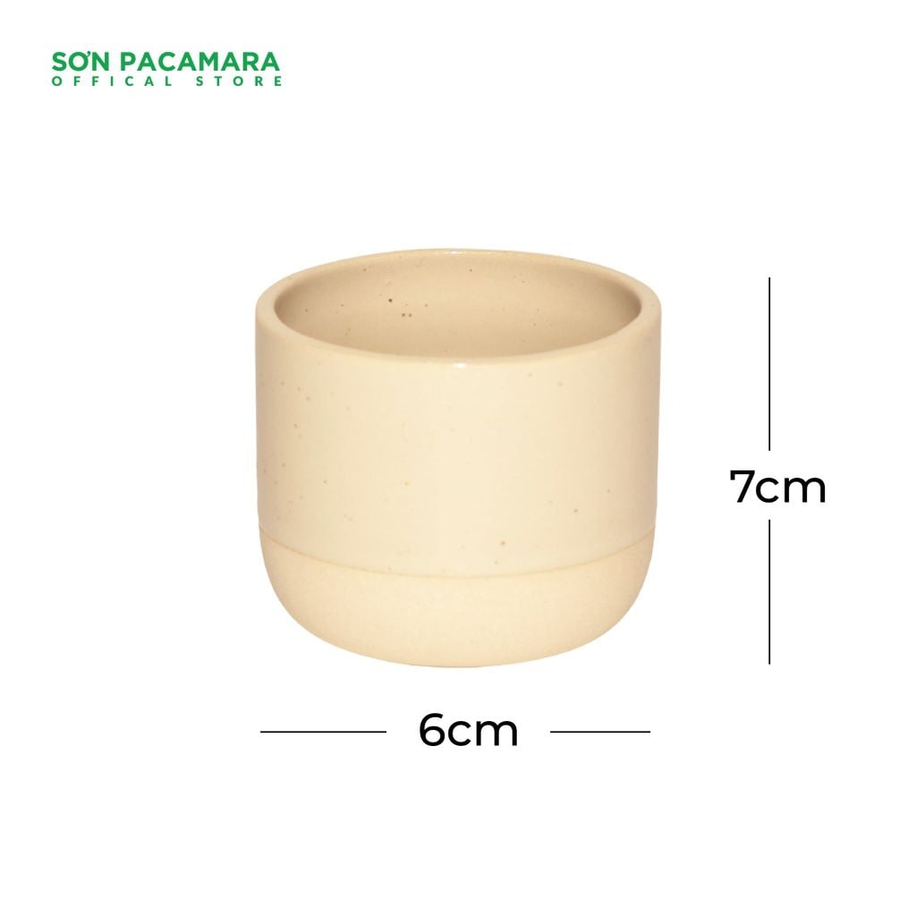 Ly Gốm AnyDrink Sơn Pacamara, Phù hợp mọi loại đồ uống, Hộp 1 Cái