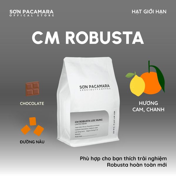 C&agrave; Ph&ecirc; CM Robusta Lộc Rừng