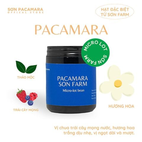 (New Crop 2026) Gói Đặc Biệt Pacamara Micro Lot Từ Sơn Farm, Vị Ngọt Dày, Gói 100gr/250gr