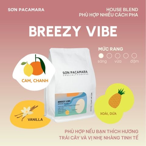 (Cà Mới) Cà Phê Cold Brew Gói Breezy Vibe, Special Blend, 100% Specialty Coffee, Hương Trái Cây, Vị Nhẹ, Rang Vừa, Gói 250gr / 500gr