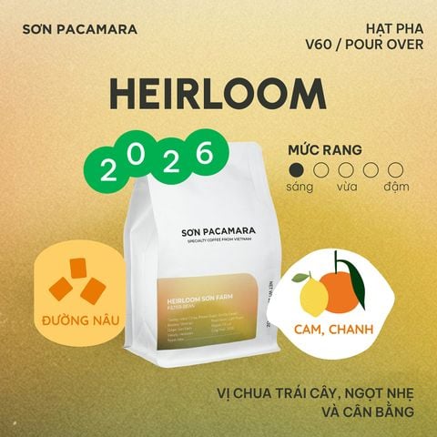 (New Crop 2026) Cà Phê Pour Over Gói Heirloom, 100% Specialty Coffee Đà Lạt, Rang Nhạt, Gói 250gr / 500gr