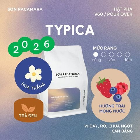 (New Crop 2026) Cà Phê Pour Over  Gói Typica, 100% Specialty Coffee Đà Lạt, Vị Dày Phù Hợp Pha Đá, Rang Nhạt, Gói 250gr / 500gr