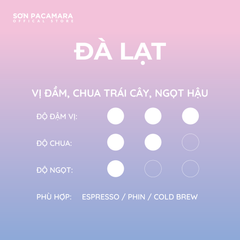 Combo 3 Gói Cà Phê Espresso, Barista Gợi Ý 3 Hương Vị Khác Nhau, Gói 250gr