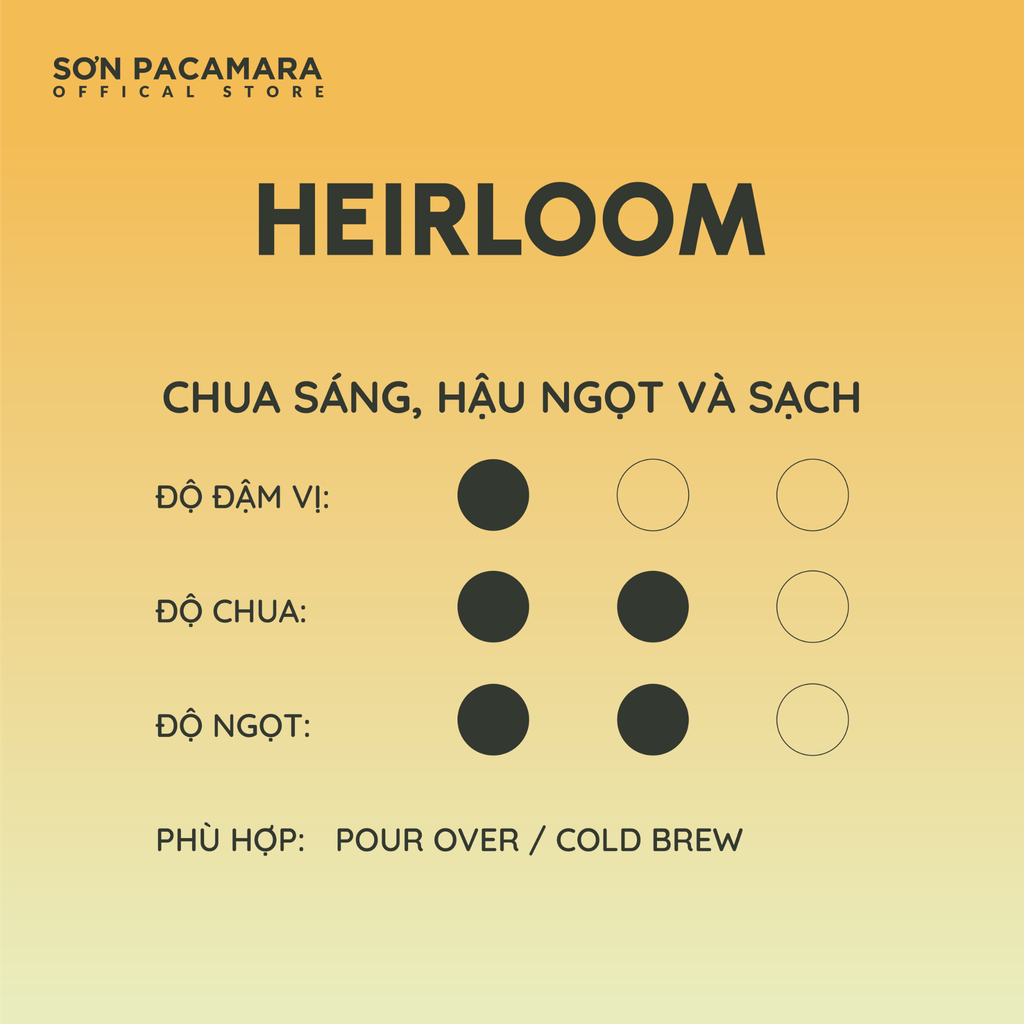 Combo Khám Phá Vùng Sơn Farm Với 3 Gói Cà Phê, Phù hợp Nhiều Cách Pha Khác Nhau, Gói 250gr