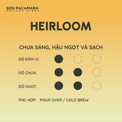 Combo Khám Phá Vùng Sơn Farm Với 3 Gói Cà Phê, Phù hợp Nhiều Cách Pha Khác Nhau, Gói 250gr