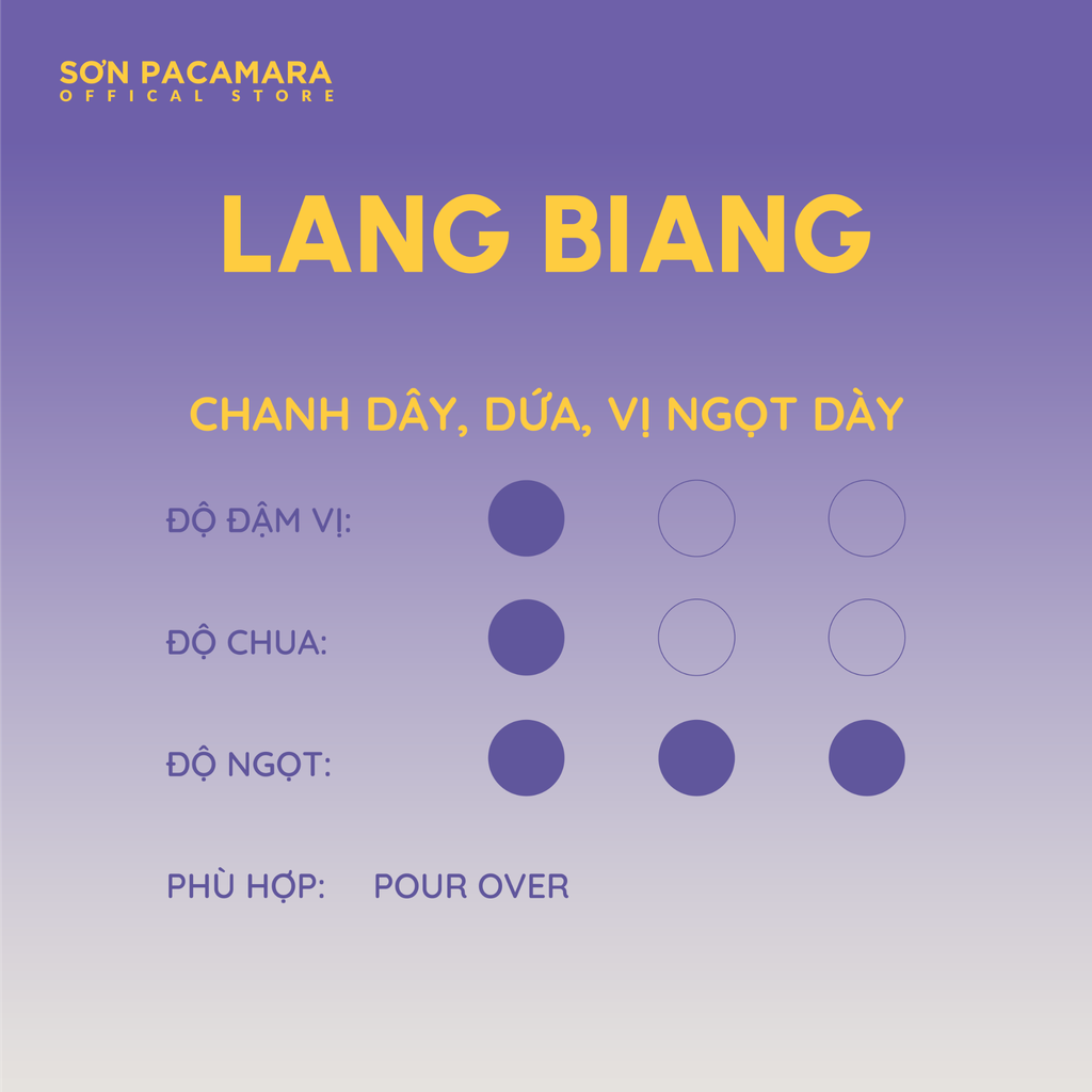 Combo Khám Phá Vùng Đà Lạt Với 3 Gói Cà Phê, Phù hợp Nhiều Cách Pha Khác Nhau, Gói 250gr