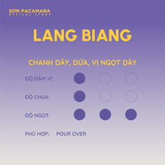 Combo Khám Phá Vùng Đà Lạt Với 3 Gói Cà Phê, Phù hợp Nhiều Cách Pha Khác Nhau, Gói 250gr