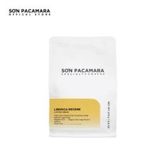 (Gói Giới Hạn) Cà Phê Liberica Sơn Pacamara, Regene Farm, Rang Sáng, Hương Trái Cây Gói 100gr/250gr