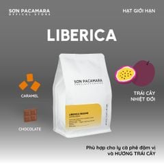 (Gói Giới Hạn) Cà Phê Liberica Sơn Pacamara, Regene Farm, Rang Sáng, Hương Trái Cây Gói 100gr/250gr