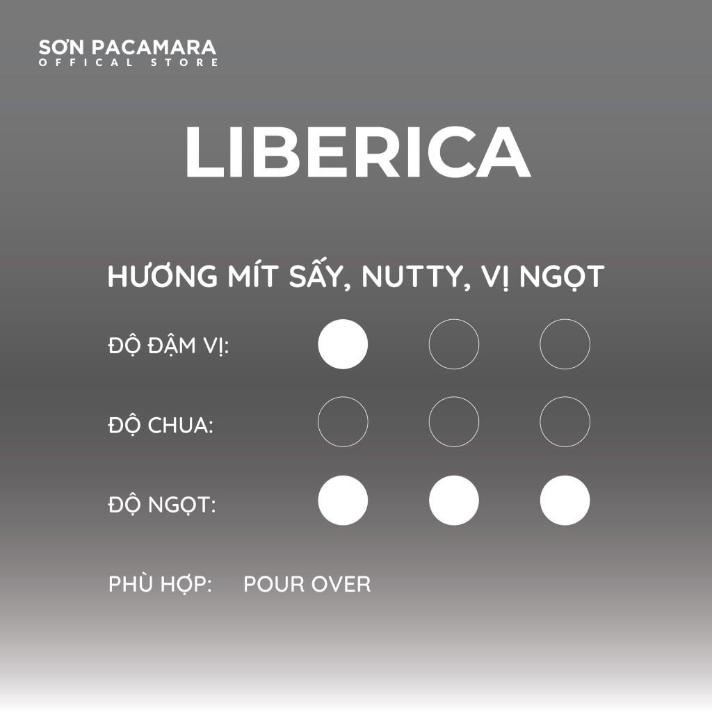 (Gói Giới Hạn) Cà Phê Liberica Sơn Pacamara, Regene Farm, Rang Sáng, Hương Trái Cây Gói 100gr/250gr