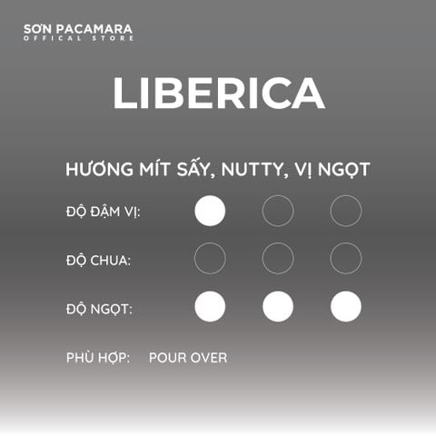 (Gói Giới Hạn) Cà Phê Liberica Sơn Pacamara, Regene Farm, Rang Sáng, Hương Trái Cây Gói 100gr/250gr