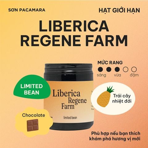 (Gói Giới Hạn) Gói Liberica Từ Regene Farm, Hương Trái Cây, Vị Ngọt , Rang Nhạt, Gói 100gr/250gr