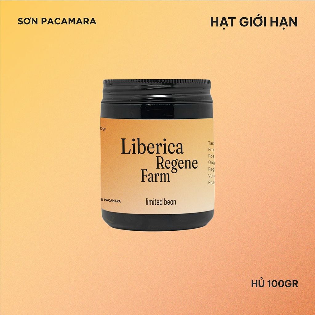 (Gói Giới Hạn) Gói Liberica Từ Regene Farm, Hương Trái Cây, Vị Ngọt , Rang Nhạt, Gói 100gr/250gr