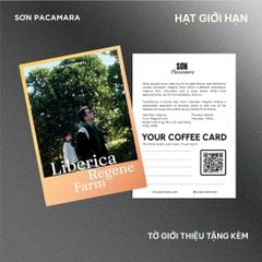 (Gói Giới Hạn) Gói Liberica Từ Regene Farm, Hương Trái Cây, Vị Ngọt , Rang Nhạt, Gói 100gr/250gr
