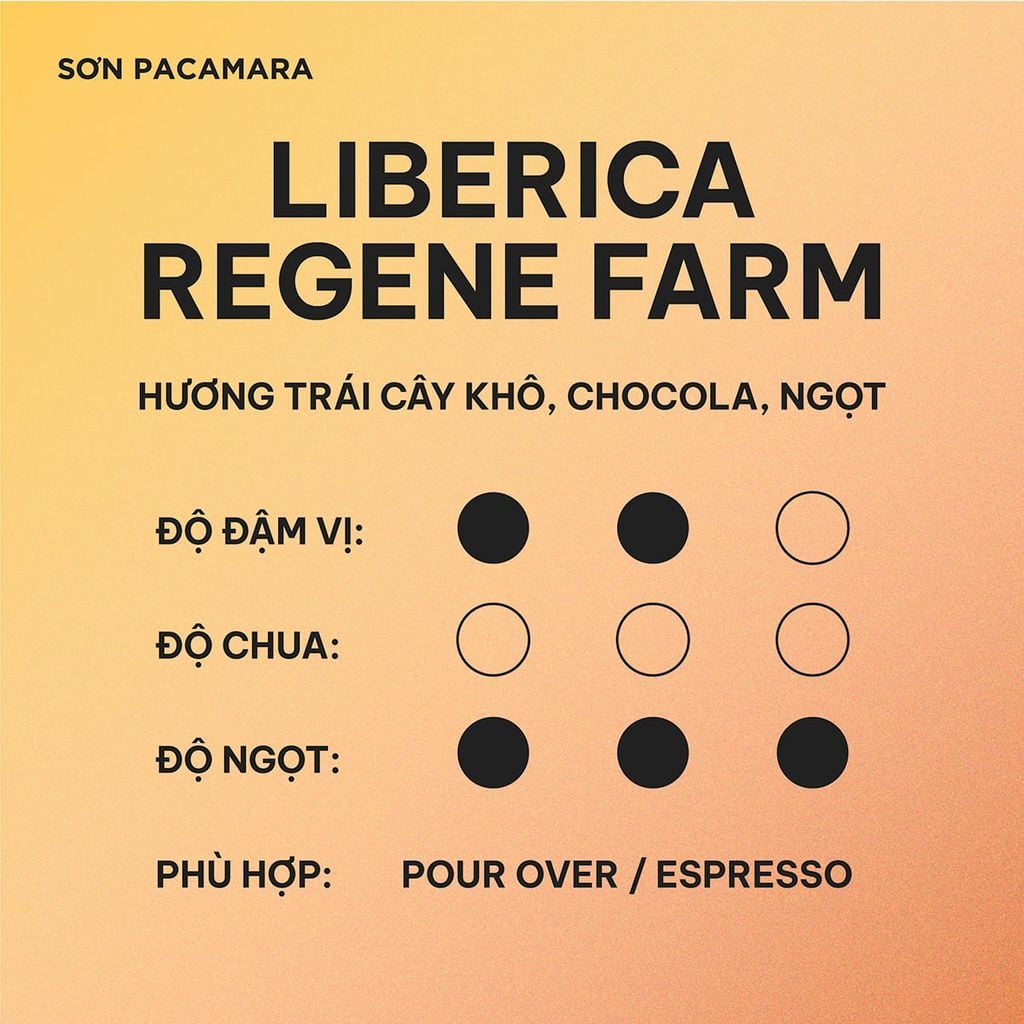 (Gói Giới Hạn) Gói Liberica Từ Regene Farm, Hương Trái Cây, Vị Ngọt , Rang Nhạt, Gói 100gr/250gr