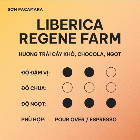 (Gói Giới Hạn) Gói Liberica Từ Regene Farm, Hương Trái Cây, Vị Ngọt , Rang Nhạt, Gói 100gr/250gr