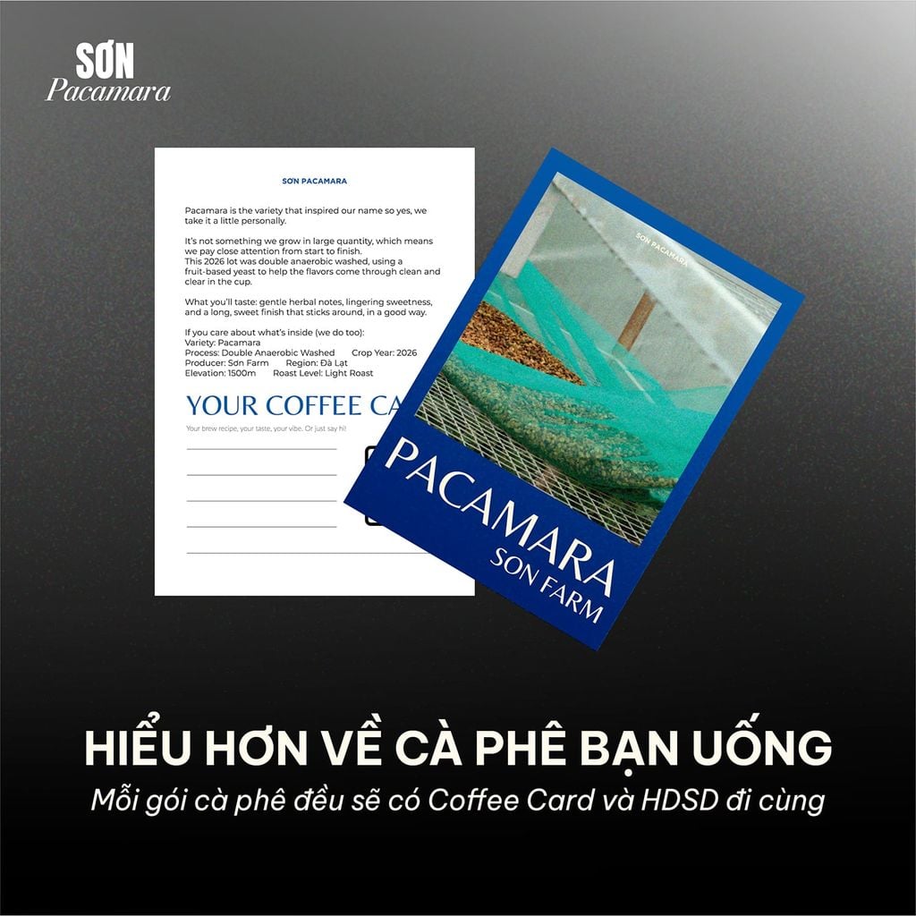 (New Crop 2026) Gói Đặc Biệt Pacamara Micro Lot Từ Sơn Farm, Vị Ngọt Dày, Gói 100gr/250gr