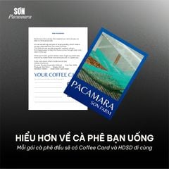 (New Crop 2026) Gói Đặc Biệt Pacamara Micro Lot Từ Sơn Farm, Vị Ngọt Dày, Gói 100gr/250gr