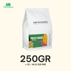 Cà Phê Cold Brew Gói Fruit Mood, Special Blend, 100% Specialty Coffee, Hương Trái Cây, Vị Đầm, Rang Vừa, Gói 250gr / 500gr