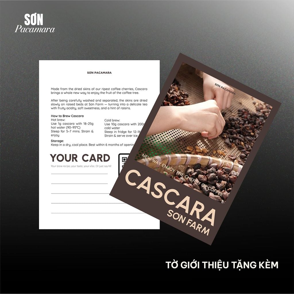 Trà Vỏ Cà Phê Cascara, Từ Trái Arabica Hái Chín 100%, Hương Trái Cây Khô, Vị Chua Thanh, Gói 100gr