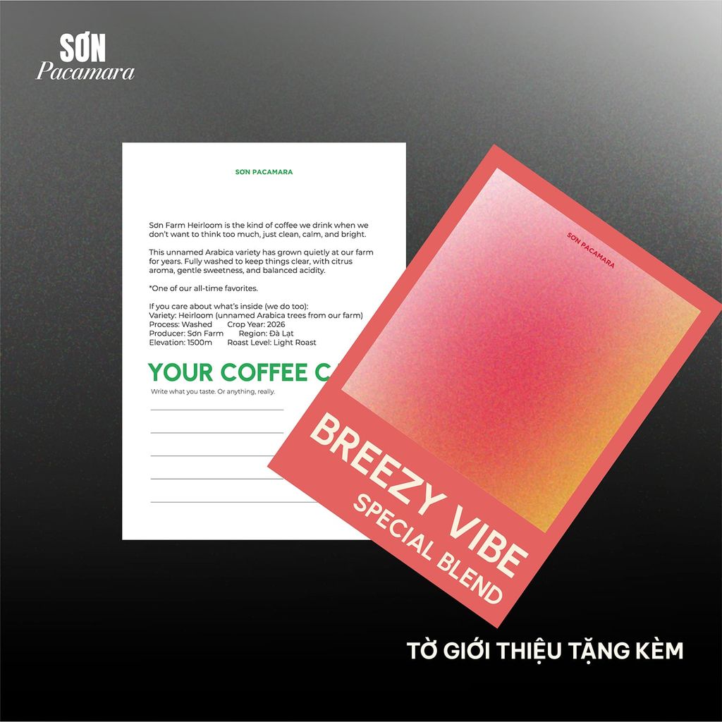(Cà Mới) Cà Phê Breezy Vibe, Special Blend, 100% Specialty Coffee, Hương Trái Cây, Vị Nhẹ, Rang Vừa, Gói 250gr / 500gr