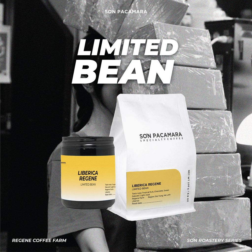(Gói Giới Hạn) Cà Phê Liberica Sơn Pacamara, Regene Farm, Rang Sáng, Hương Trái Cây Gói 100gr/250gr