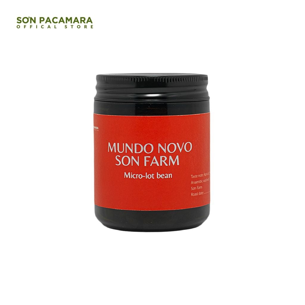 (New Crop 2025) Gói Đặc Biệt Mundo Novo Micro Lot Từ Sơn Farm, Hương Tinh Tế , Rang Nhạt, Gói 100gr/250gr