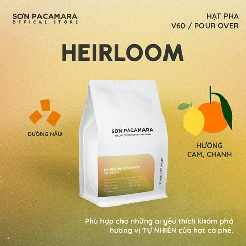 (New Crop 2026) Cà Phê Pour Over Gói Heirloom, 100% Specialty Coffee Đà Lạt, Rang Nhạt, Gói 250gr / 500gr