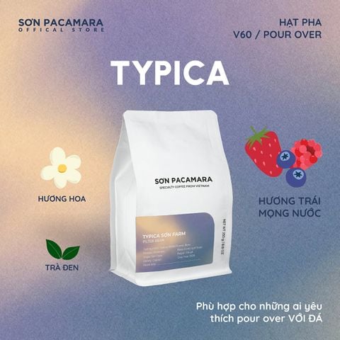 (New Crop 2026) Cà Phê Pour Over  Gói Typica, 100% Specialty Coffee Đà Lạt, Vị Dày Phù Hợp Pha Đá, Rang Nhạt, Gói 250gr / 500gr