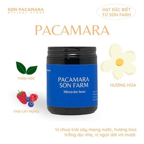 (New Crop 2025) Gói Đặc Biệt Pacamara Micro Lot Từ Sơn Farm, Vị Ngọt Dày, Gói 100gr/250gr