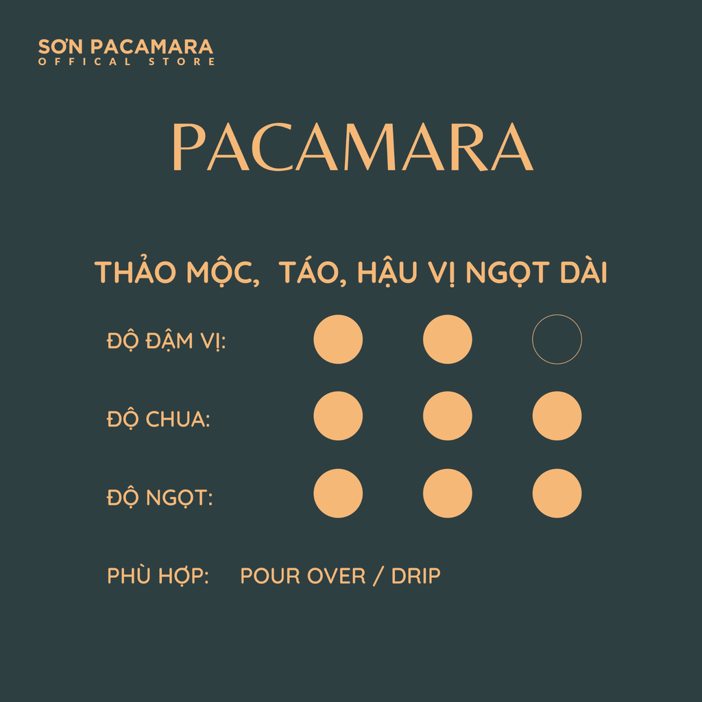 Combo Khám Phá Vùng Sơn Farm Với 3 Gói Cà Phê, Phù hợp Nhiều Cách Pha Khác Nhau, Gói 250gr